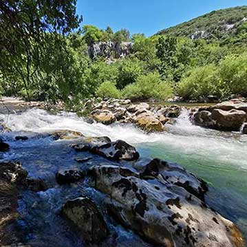 Cérès Flore, fourniture de branches de saules et de ramilles de saule pour le génie végétal