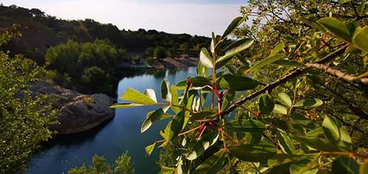 Le végétal local sauvage résiste à la sècheresse