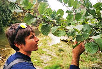 ceres-flore bureau d'étude projet de végétalisation