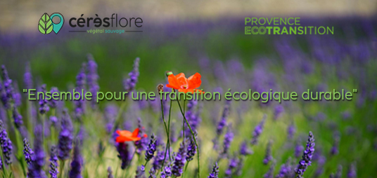 Cérès Flore rejoint Provence EcoTransition pour une transition écologique durable dans le Vaucluse.