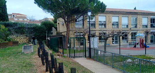 plantons-des-arbres-chateauneuf-du-pape Plantation d'une haie biodiversité constituée de jeunes plants d'arbustes indigènes sauvages, à l'école maternelle Jean Macé de Châteauneuf-du-Pape.